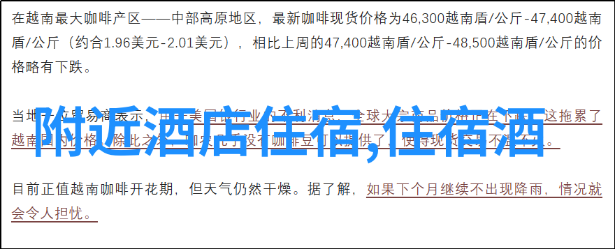 上海自驾游从路线规划到街头巷尾的奇遇