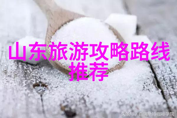 征途领航揭秘自驾游app排行榜前十名的精英团队