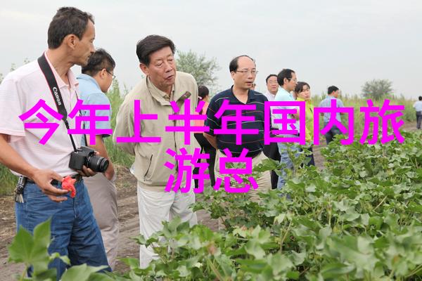 品味上海人气美食餐厅推荐