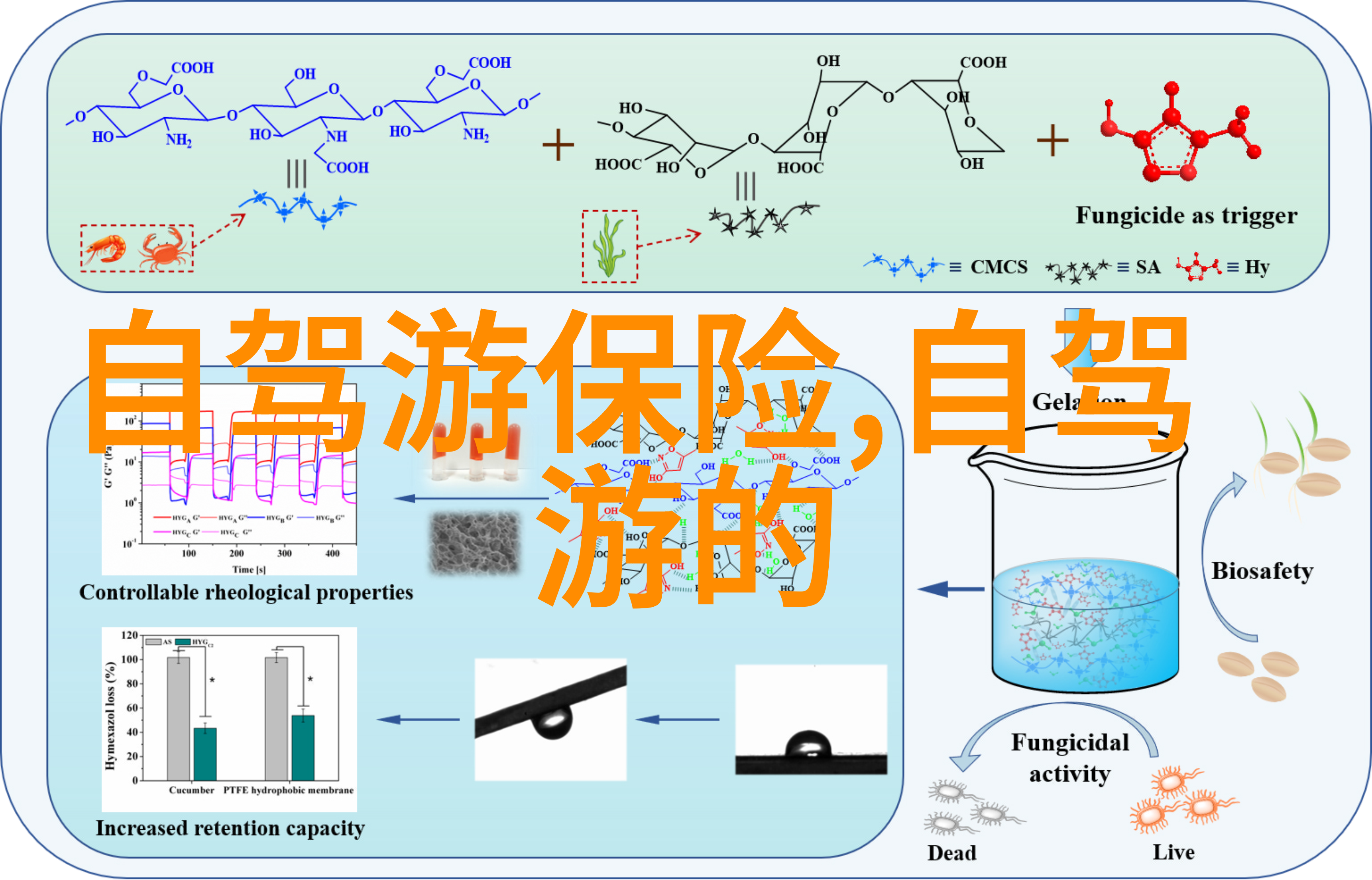 云南必去十大景点推荐你绝对要去的云南十大美丽角落