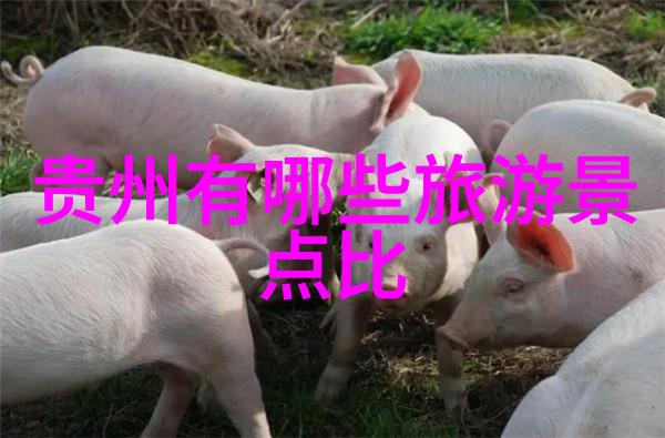 试问保定哪家饭馆能称得上非典型佳肴