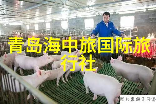 中国美食大师探索中国各地的特色美食文化