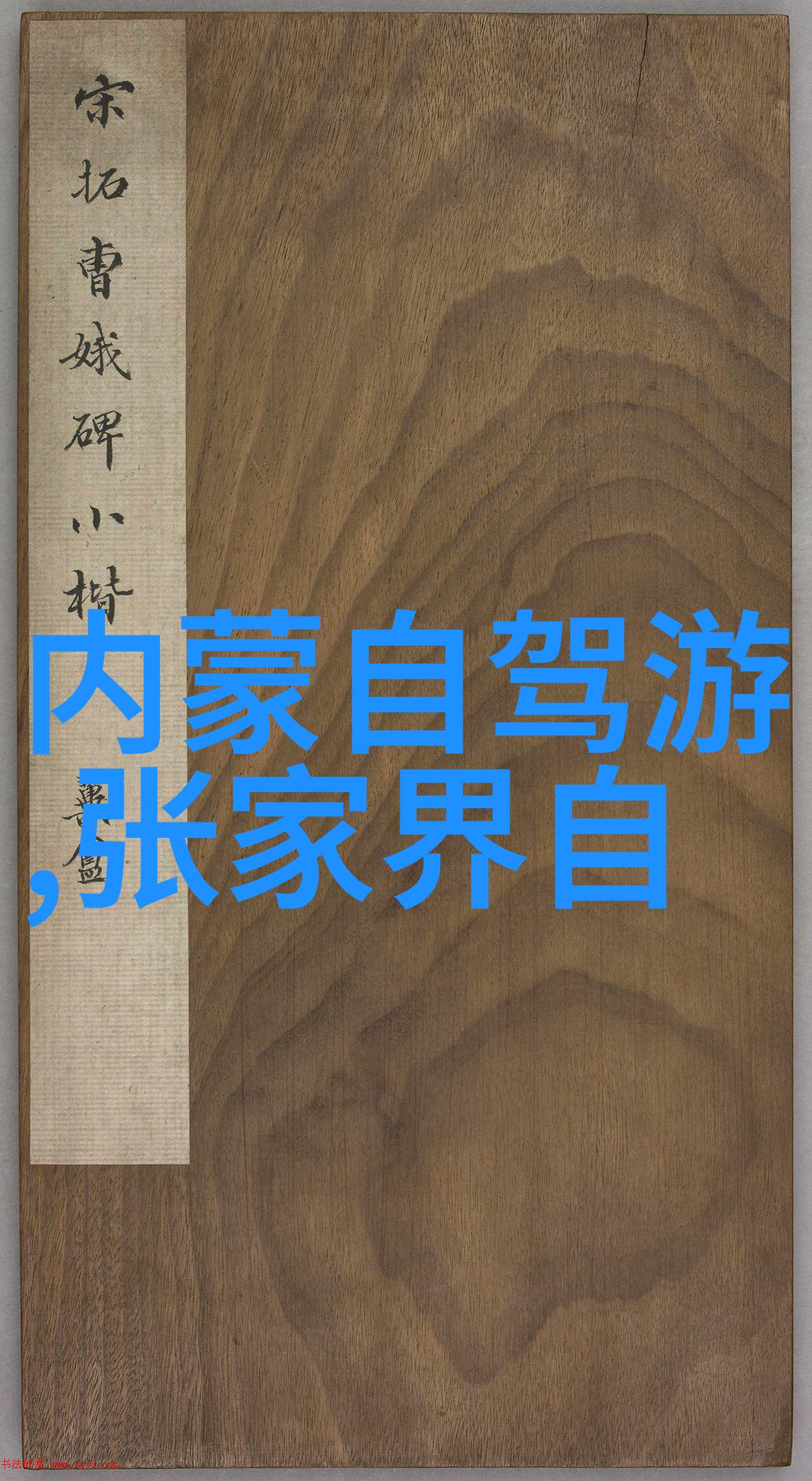 北方美食-探索北方美食的独特风味饕餮盛宴中的烤鸭手抓羊肉与麻辣烫