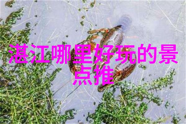 百合是怎样弄对方的视频我的朋友遇到了一个让人哭笑不得的问题