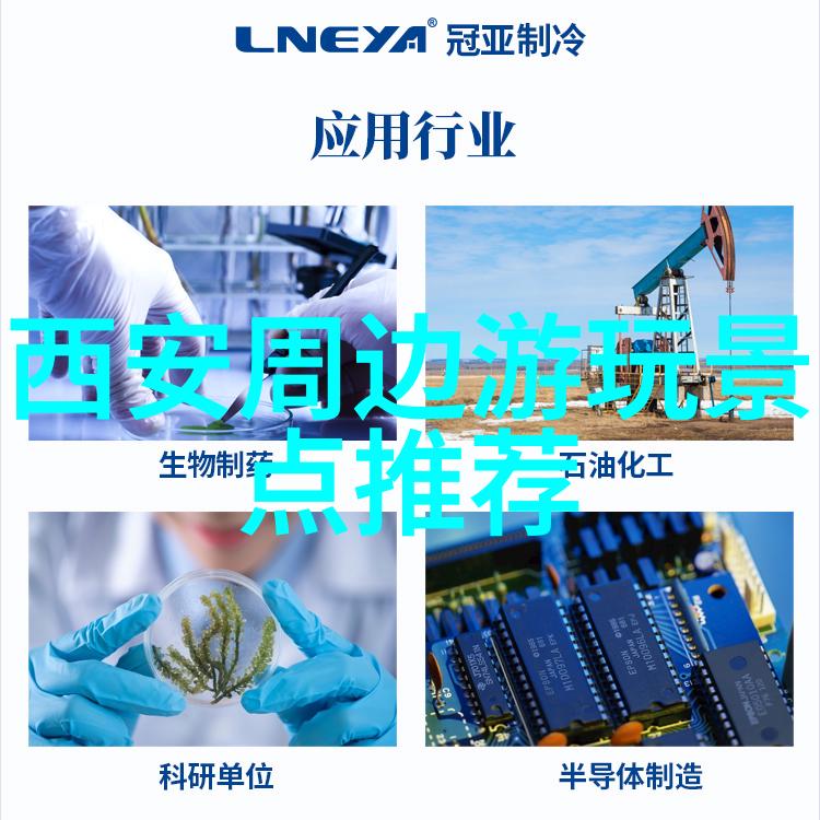 上海小吃文化地图一项基于消费者偏好与传统技艺的综合评估