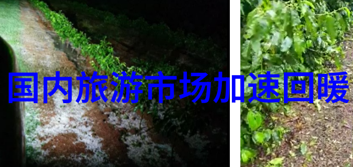 探究中山十大美食文化味蕾上的历史与地理