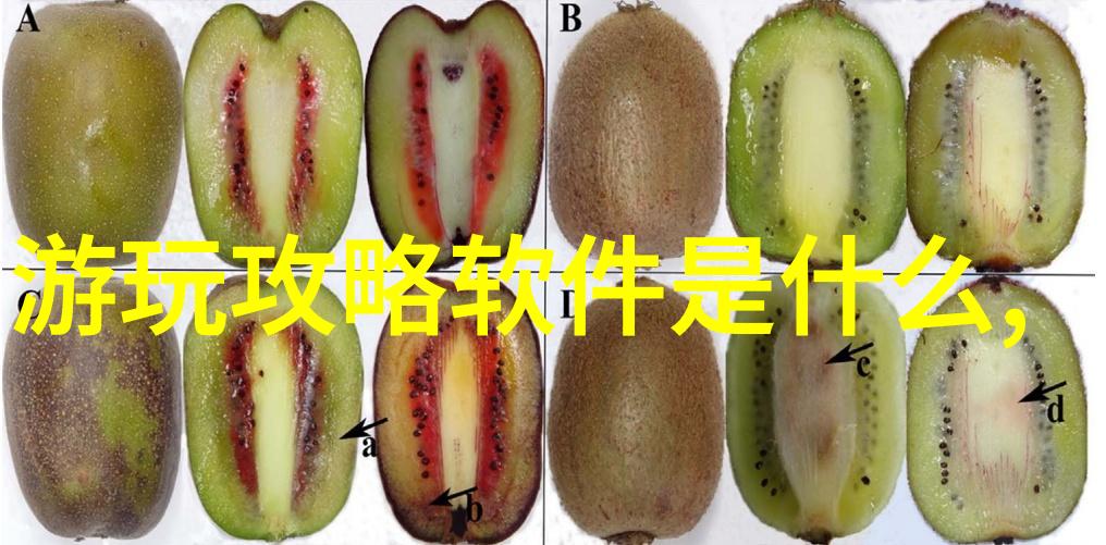 旅游新闻最新探索未知感受世界