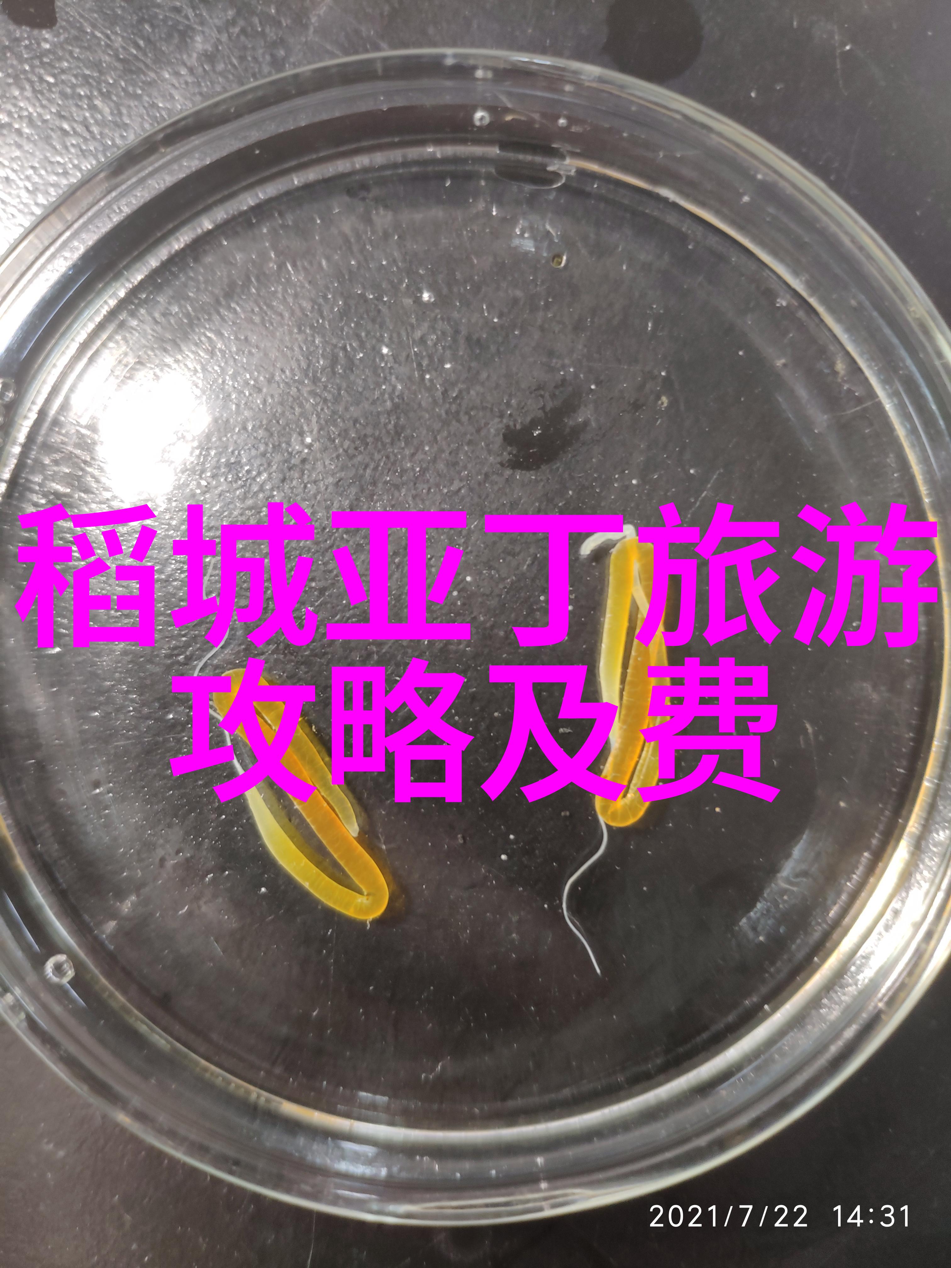 青灯下的云泥梦与现实的交错篇章