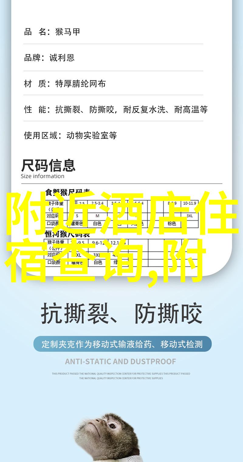 探索自然之美50个中班户外活动游戏的设计与实施