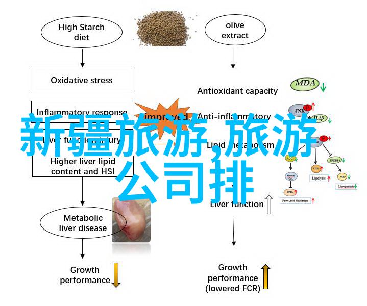 小红书美食 - 俏皮厨房探索新鲜食材与创意料理的艺术