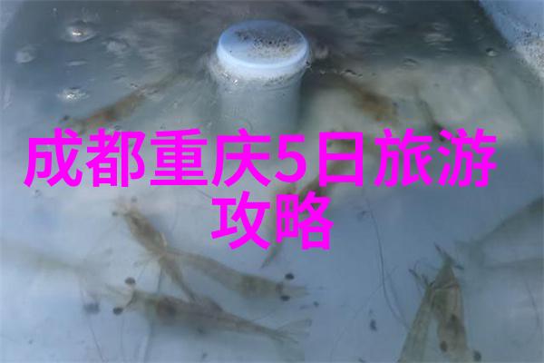 逃婚逆袭揭秘我如何赢回失去的爱情与幸福