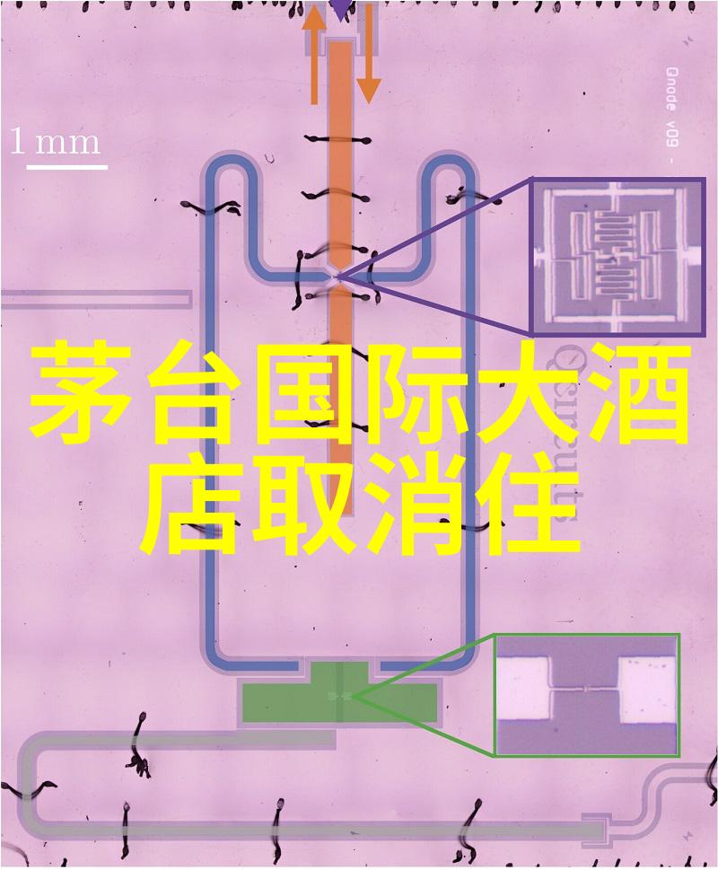 自由行安全小贴士避免在国外遇到麻烦的方法