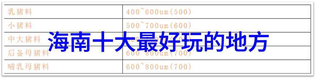 户外游戏幼儿园大班我在大班的户外冒险日记