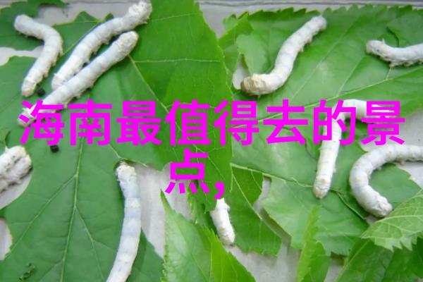 云南风情翠绿之冠的10日探险