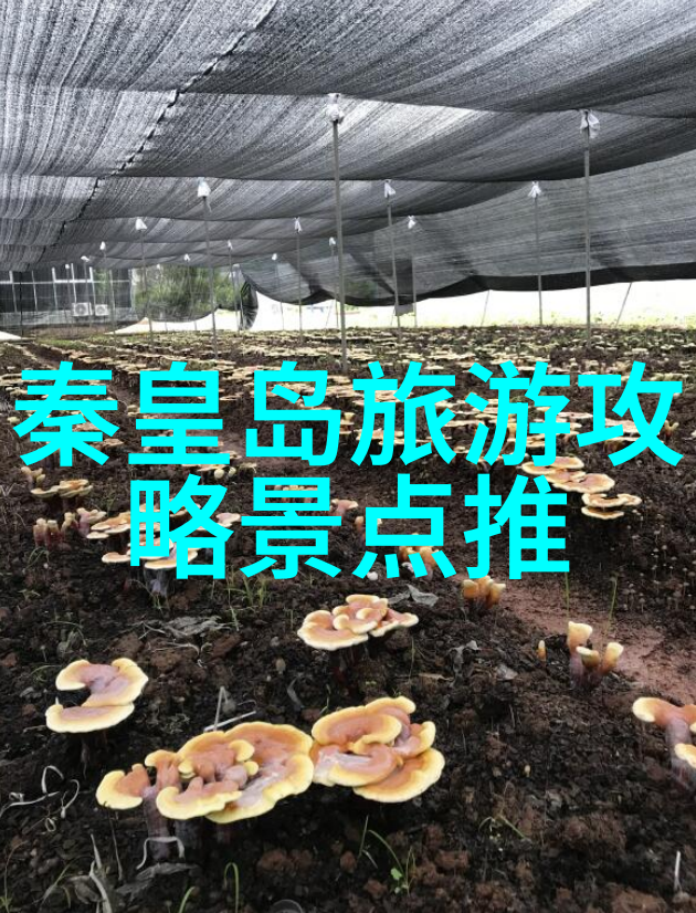 选择了游作文作为主题后你会怎么处理时间管理问题以确保质量不受影响吗