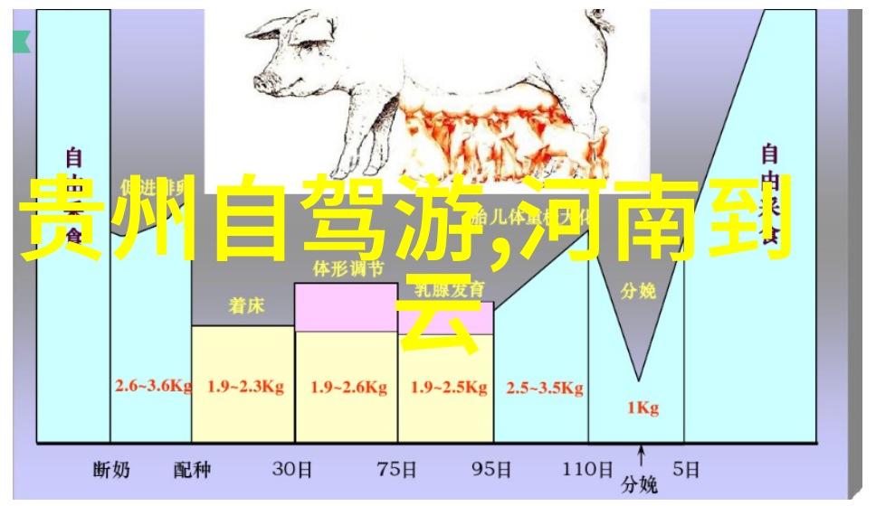 亲子五一自驾游如何规划行程