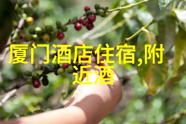 百宝箱中班幼儿园户外100种趣味游戏探索