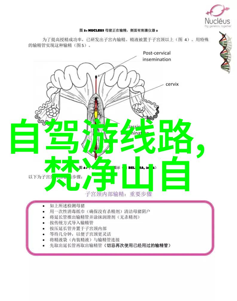 随着科技进步未来我们会看到什么样的智能自行车设计