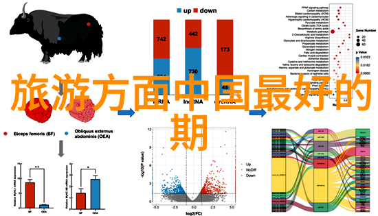 C语言编程入门与实践从错误到掌握