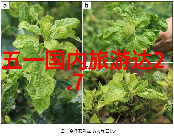 穷游的天堂物价低国度有哪些