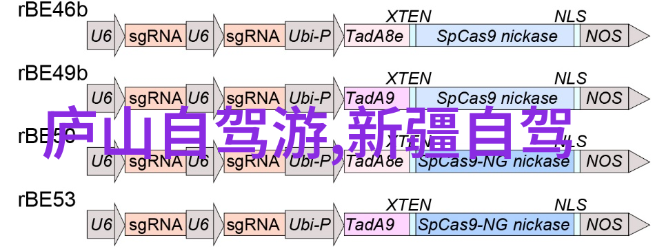 漫步武昌江滩公园感受春天的柔情蜜意