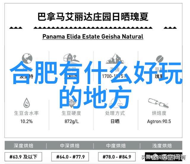 向大自然学习增长见识我们的户外行程纪实