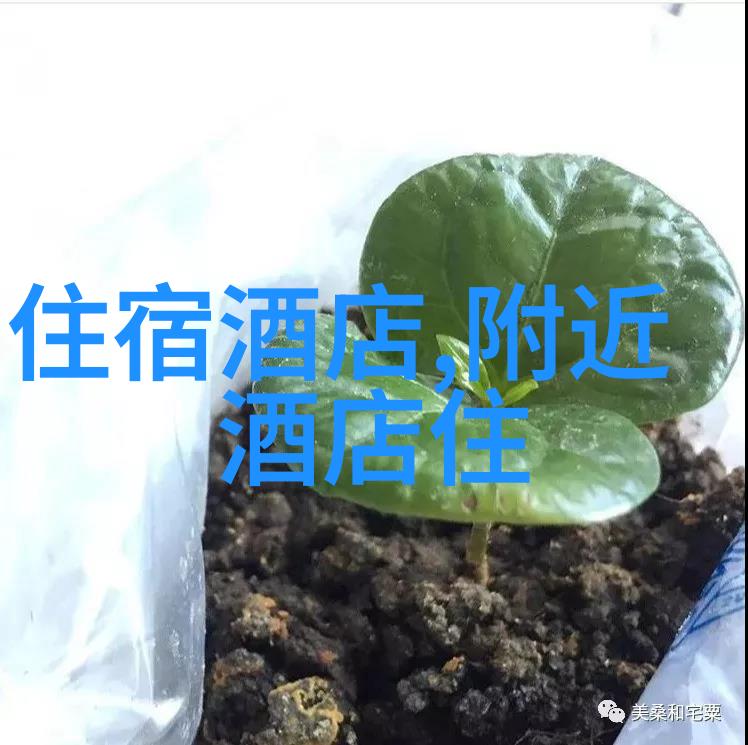 俄罗斯旅游最佳季节春夏之交的奇迹