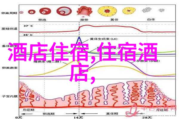 幼儿园游戏百态一百种启智乐趣