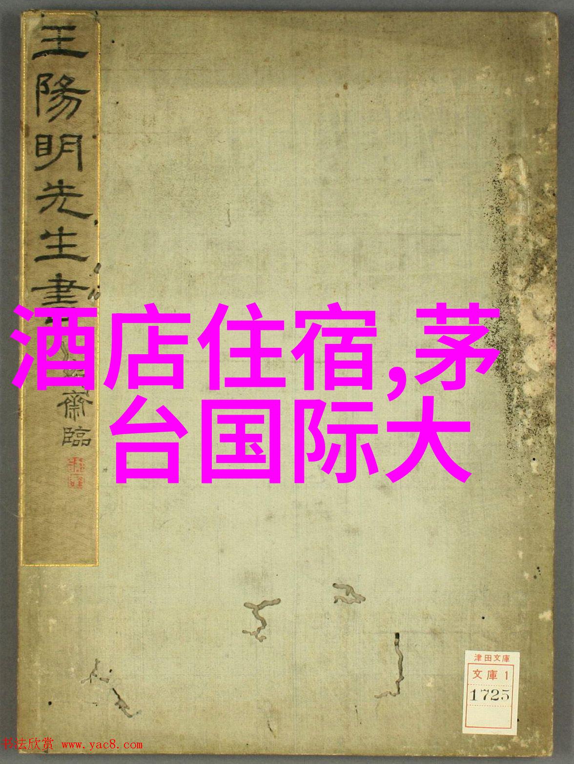 对于想要深入体验当地文化的游客来说报名前应该关注那些旅游团组织