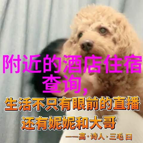 云南纯玩跟团游报价来云南玩个痛快省钱又不亏