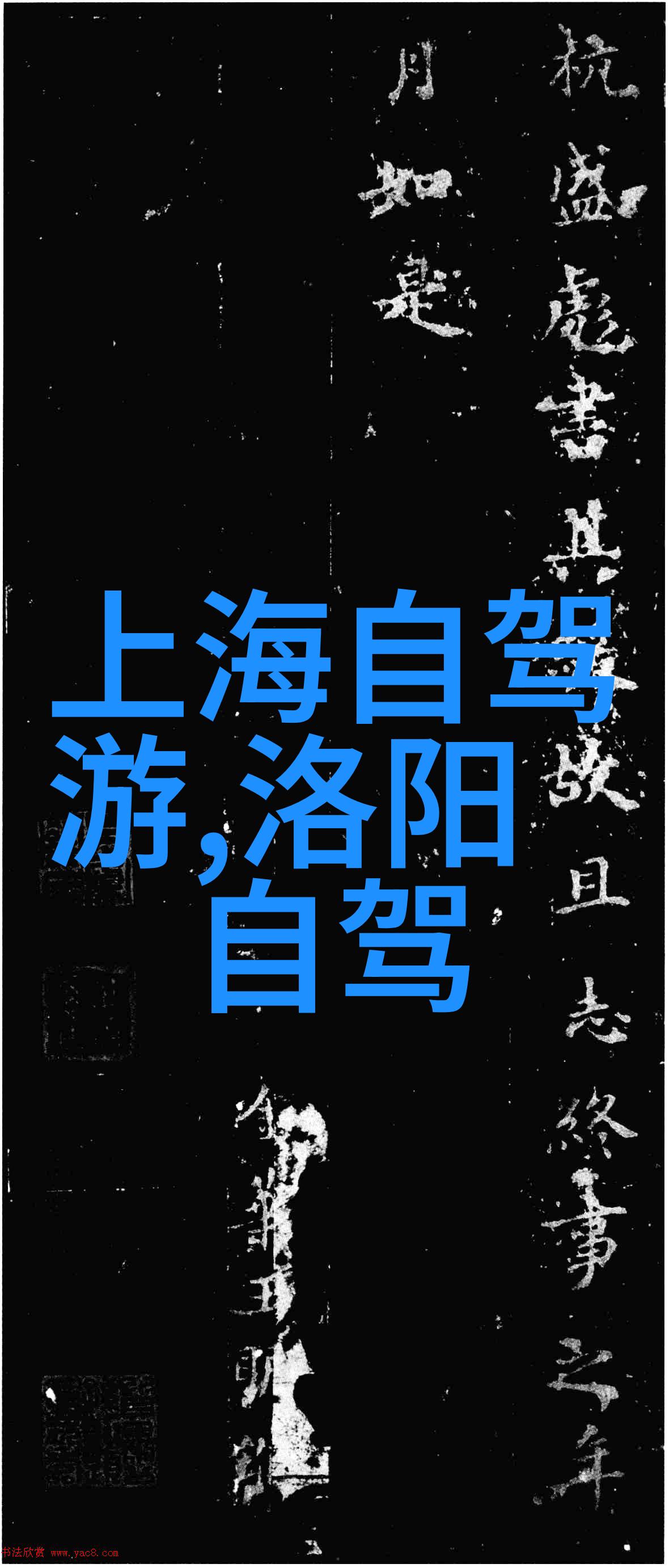 上海美食探索我在南京路的味蕾冒险一条街上的美食秘密