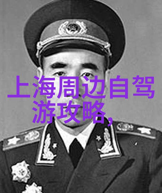 上海自驾游探秘沿海小镇与古城故事行