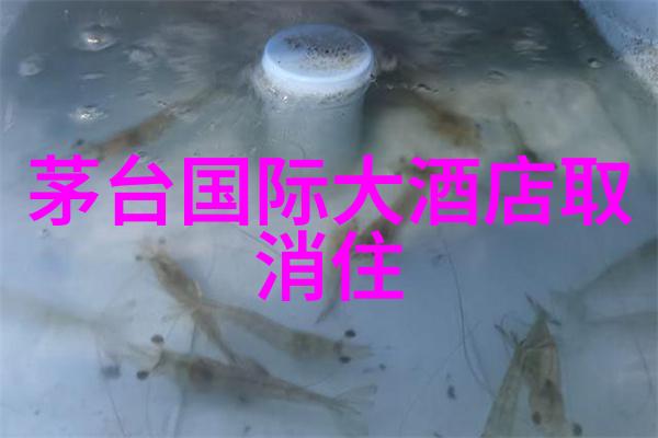 体育院校大猛攻C视频高校运动员激情澎湃的篮球比赛