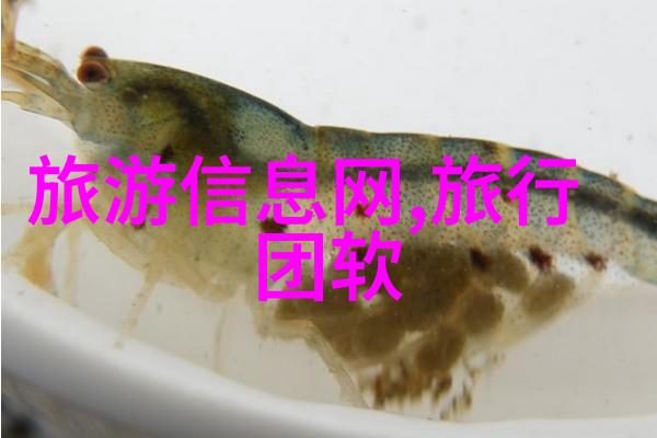 西安美食攻略必吃馆子揭秘古城美味之选