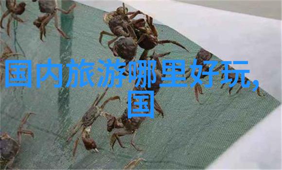 上海最值得去的5家餐厅我走过的味道上海这5家餐厅绝对要尝