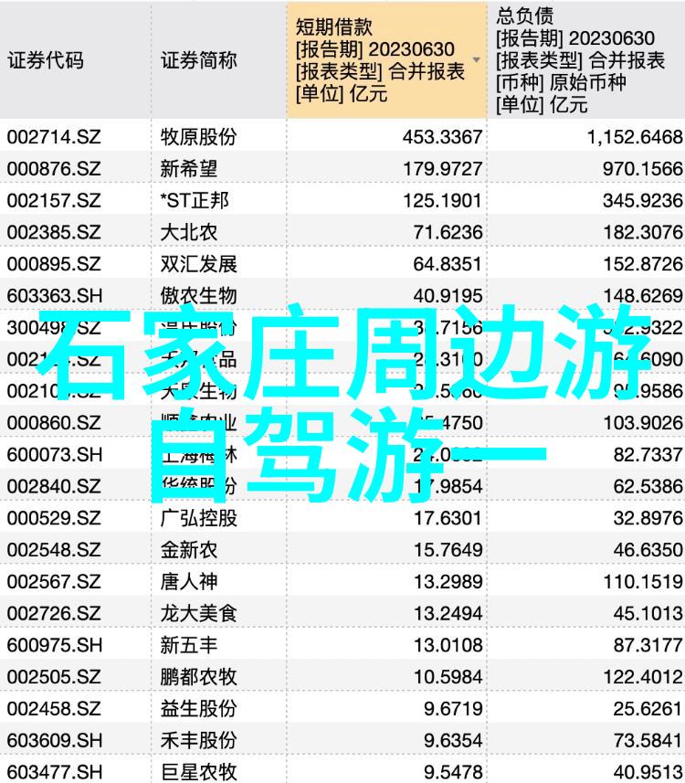 成都重庆5日旅游攻略