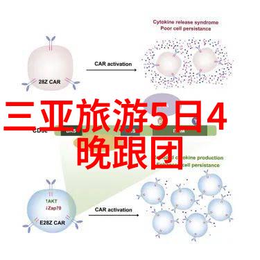 游记400字 四年级 - 四年级的探险之旅寻找童年的足迹