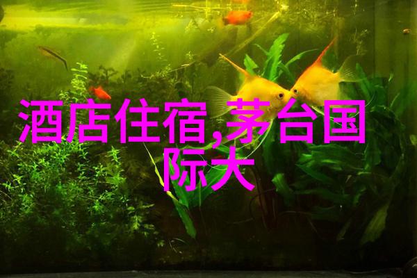 云南梦幻之旅翱翔天际的翅膀与绘画般的风景