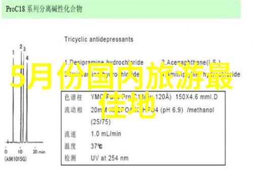 春节逃寒去寻找那片暖阳之地