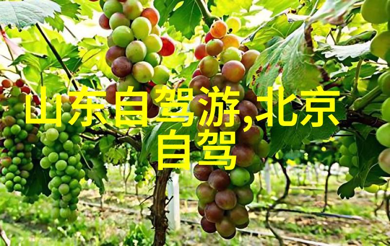 内蒙古6大草原排名-探索草原之冠内蒙古六大草原综合评级