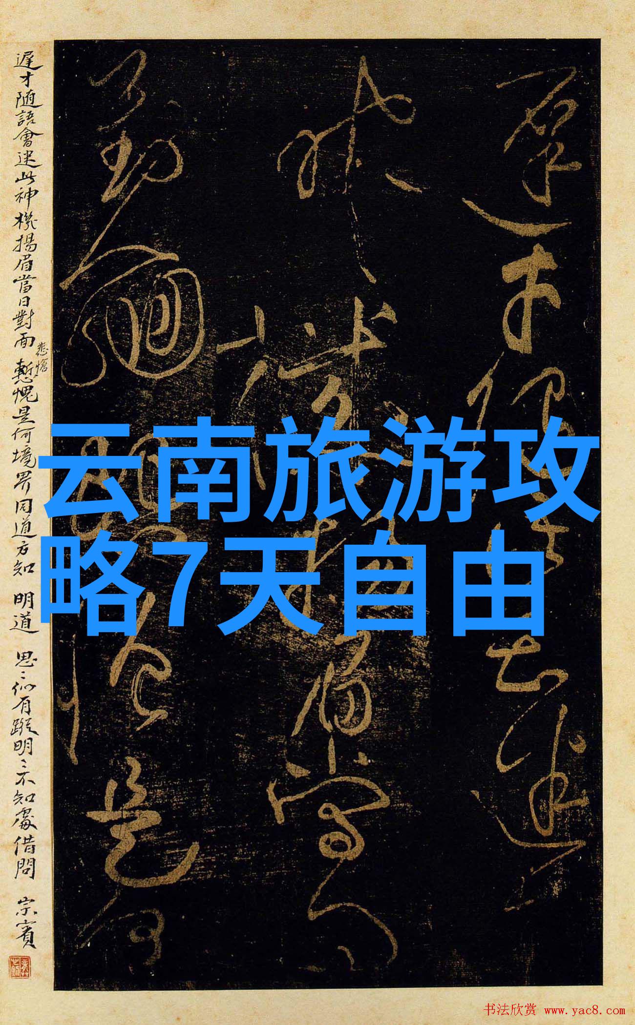 反复探秘2019年IG热门网红曼谷Plu餐厅的家常菜厨房小红书之冬阴功汤秘诀