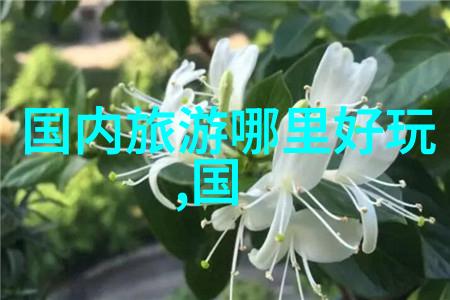 四年级游览作文400字优秀作文 - 探索未知我们四年的校园之旅