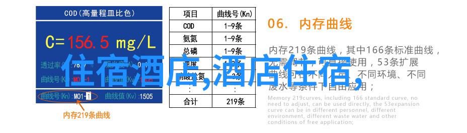 穿越迷雾的轮回西游记动画序