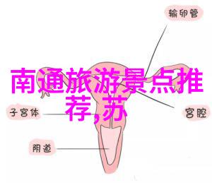 大理游记笑傲苍穹的天梯路沉醉青春的花海池