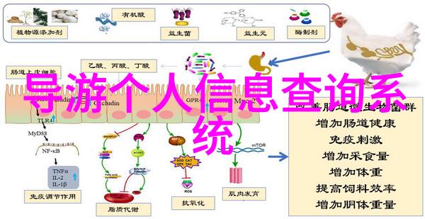 智能导览系统助力中高端旅游市场拓展和服务升级