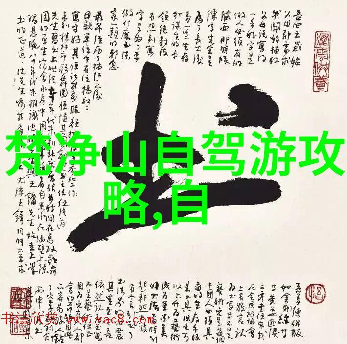 疯狂72小时 电影我和朋友们的荒谬冒险一场不可能完成的挑战