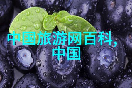 娇花养成记-从种子到绽放我的娇花育儿日记