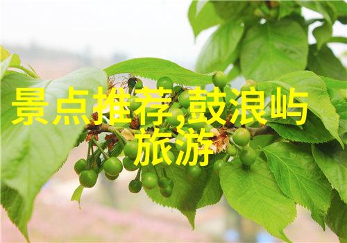 智慧游客必备指南如何在10天内体验云南四季如春