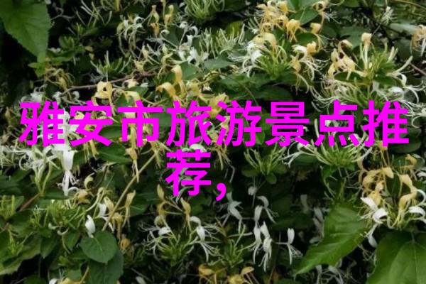 骑行如风深度解析自行车技巧与要领