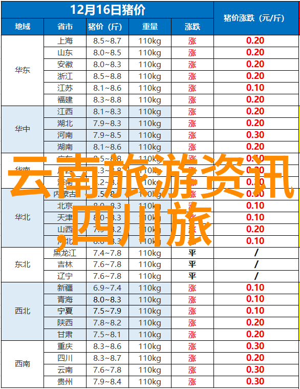 简单烹饪丰富生活探索做法简便的美食世界